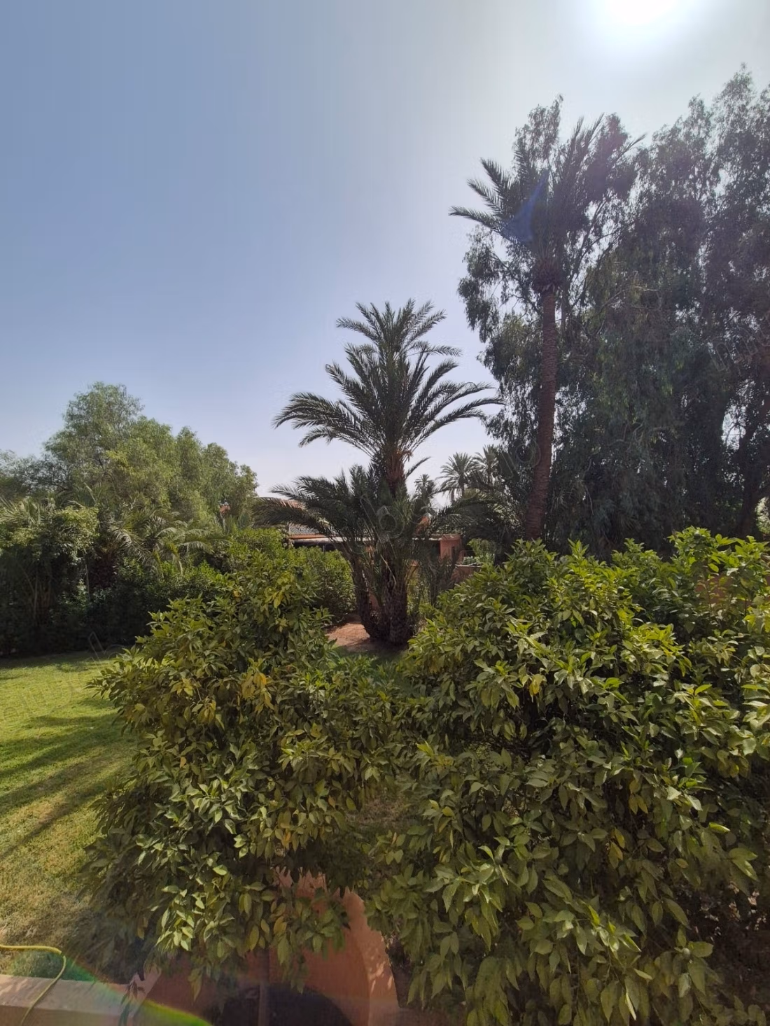 Dans residence gardée avec piscines, palmeraie 1, superbe duplex avec jardin
