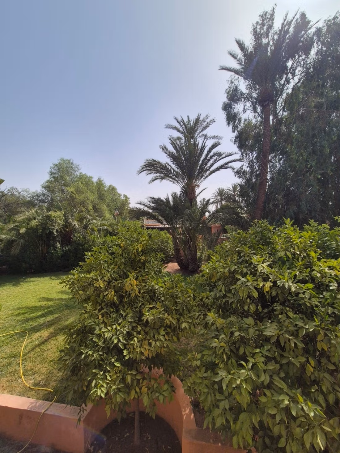 Dans residence gardée avec piscines, palmeraie 1, superbe duplex avec jardin