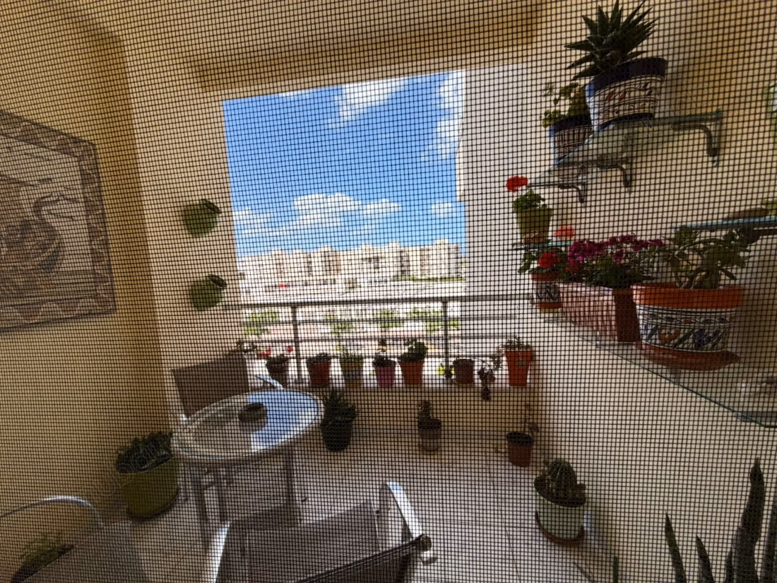 S2 a vendre aux jardins de carthage avec suite