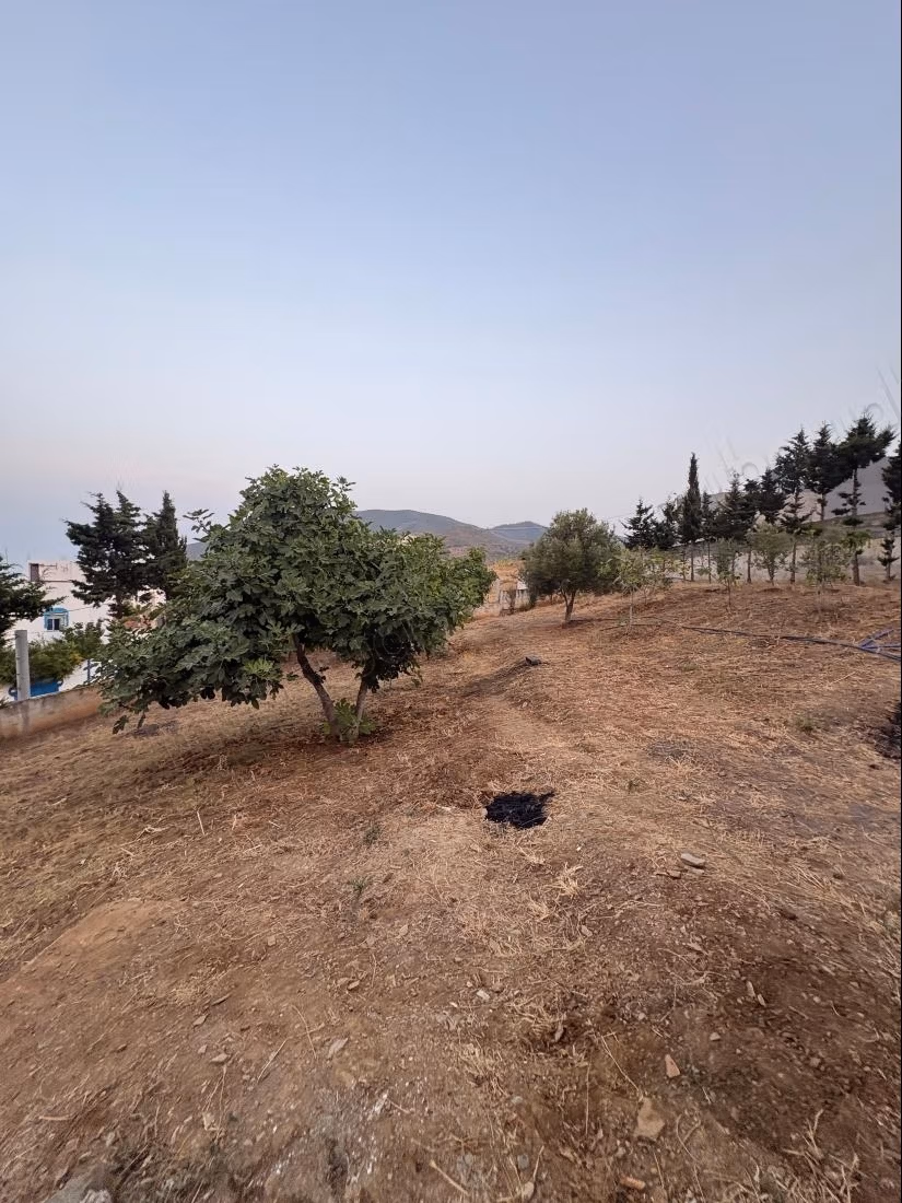 Maison à Targha Oued Laou 1000m² Mhafda