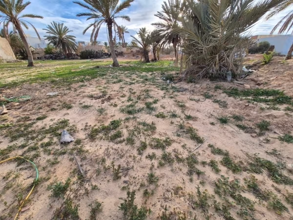 A vendre Terrain en zone urbaine à Midoun