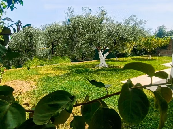Menzah 7 à louer RDJ villa S3 avec jardin