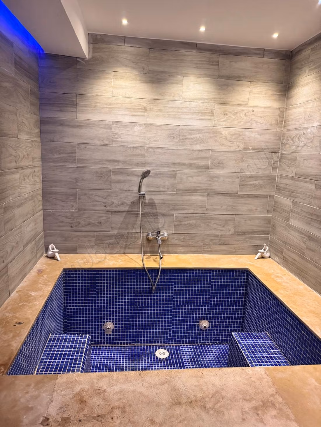 Villa di lusso arredata con piscina in affitto