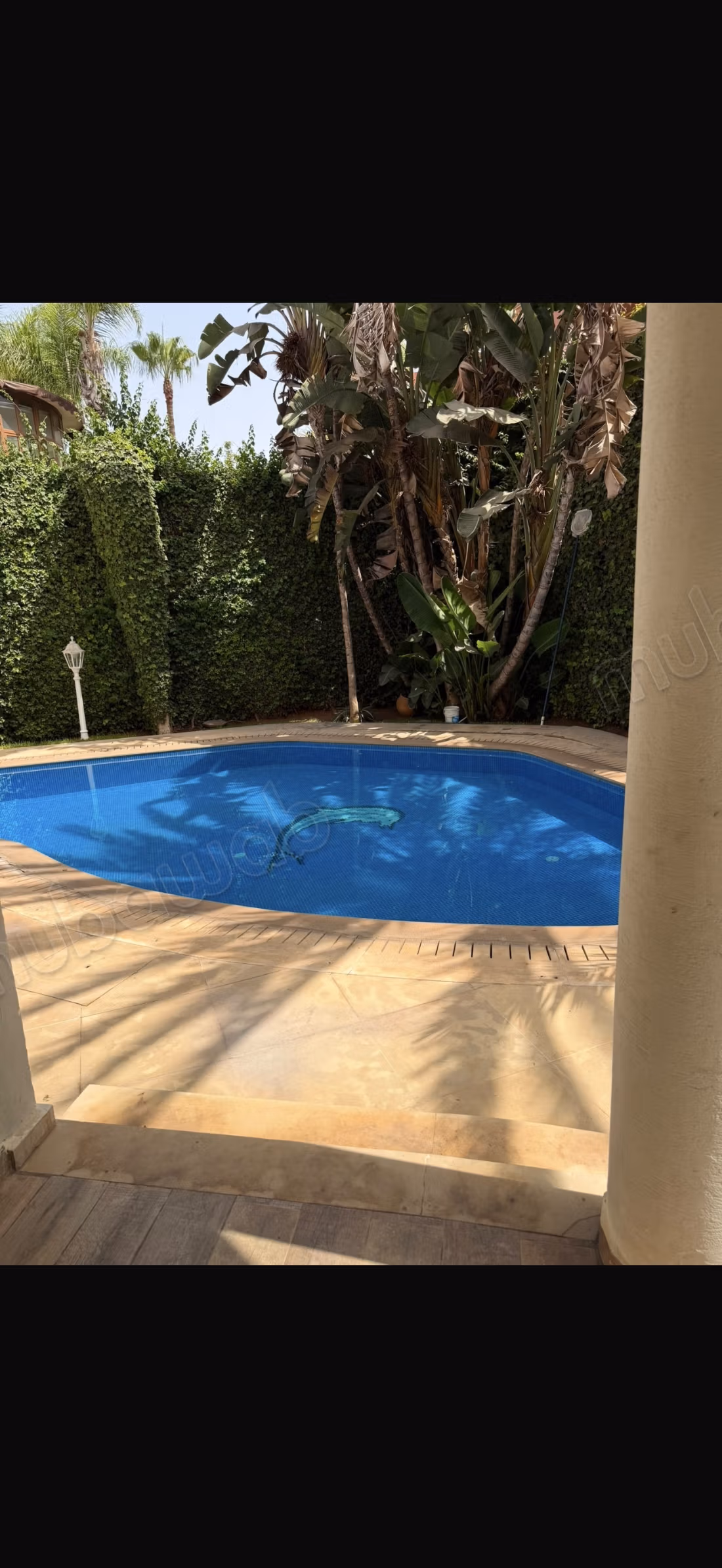 Villa en Floride de 616m2 avec piscine