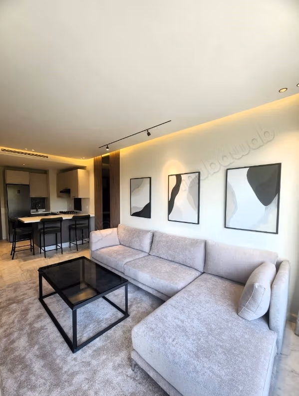 Studio meublé Luxe 50m2 à Bourgogne Ouest 
Ss Vis à