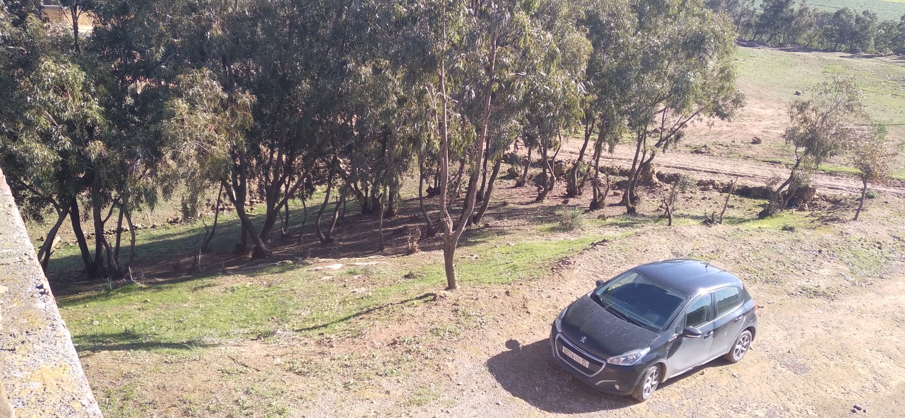Bella propiedad rural titulada de 2,085 m² con casa tradicional - El Jadida