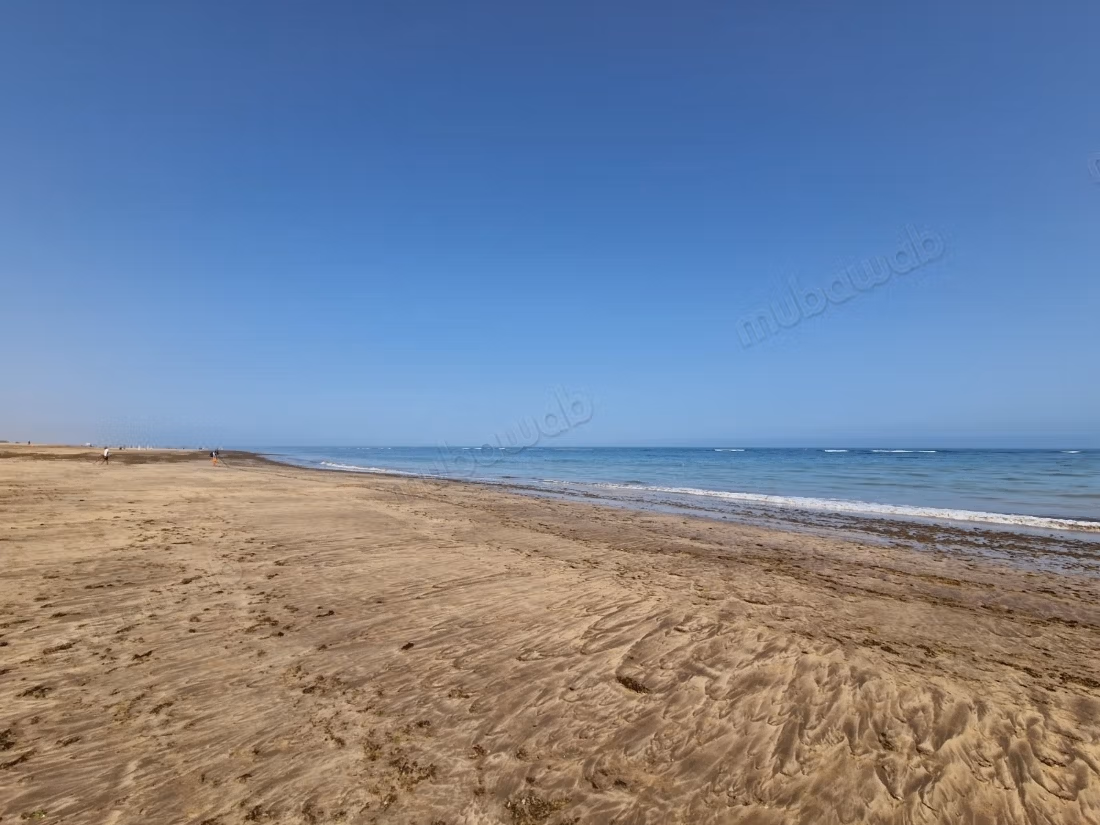 Appartamento con Spiaggia e Piscina Blanca Beach