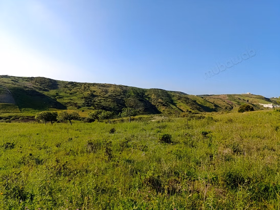 Terreno hermoso en venta en Waddalian, el pequeño palacio. El área total es de 2406 m²