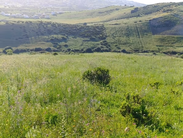 Terreno hermoso en venta en Waddalian, el pequeño palacio. El área total es de 2406 m²