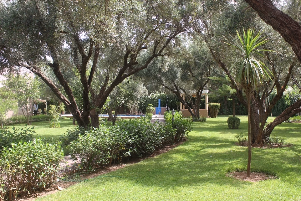 Charming house in a paradise garden