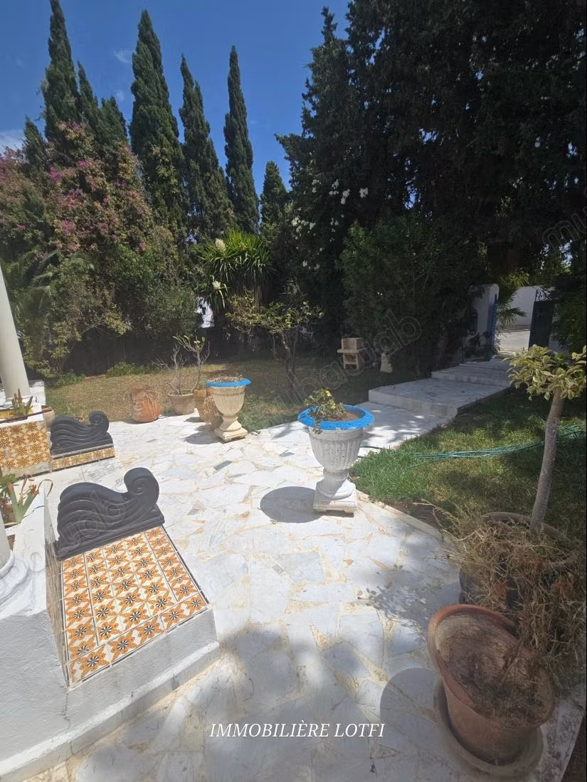 Rent your house in Gammarth Supérieur. 4 bedrooms. Terrace and garden