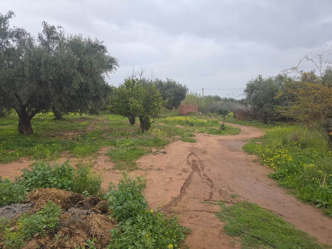 Achat de terrain à Oulad Hassoune. Surface totale 18200 m²