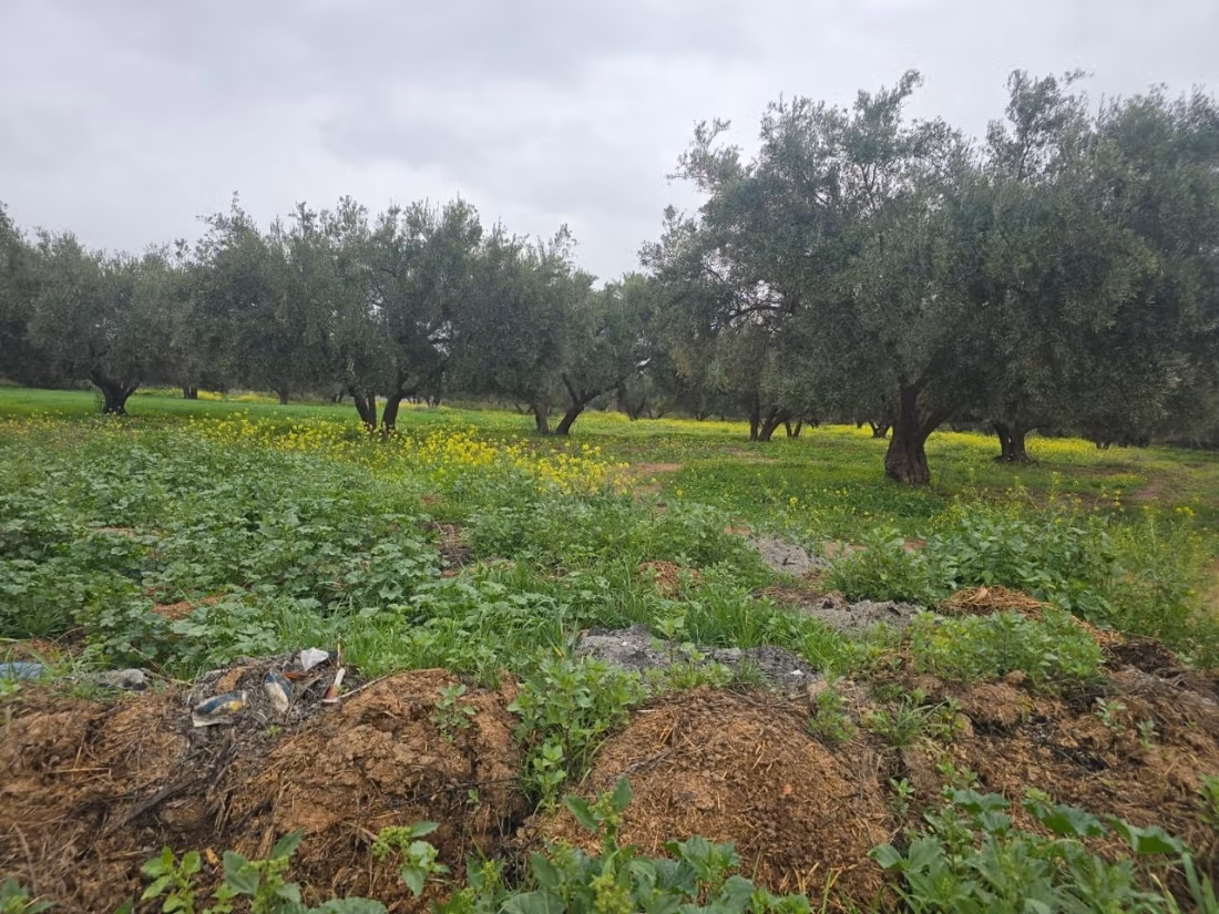 Achat de terrain à Oulad Hassoune. Surface totale 18200 m²