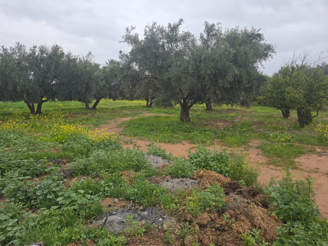 Achat de terrain à Oulad Hassoune. Surface totale 18200 m²