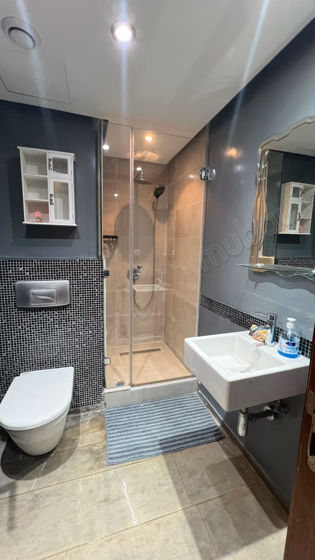 Spacious apartment for rent