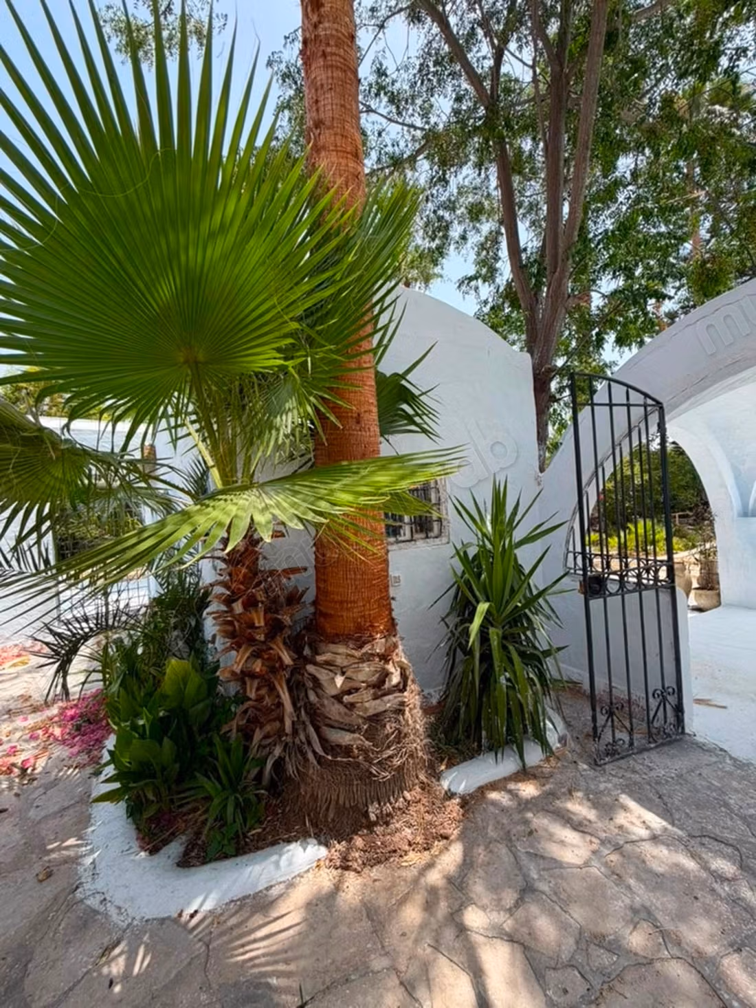 Ville e case di lusso in affitto a Hammamet Nord. 3 camere. Antenna satellitare, residenza sicura