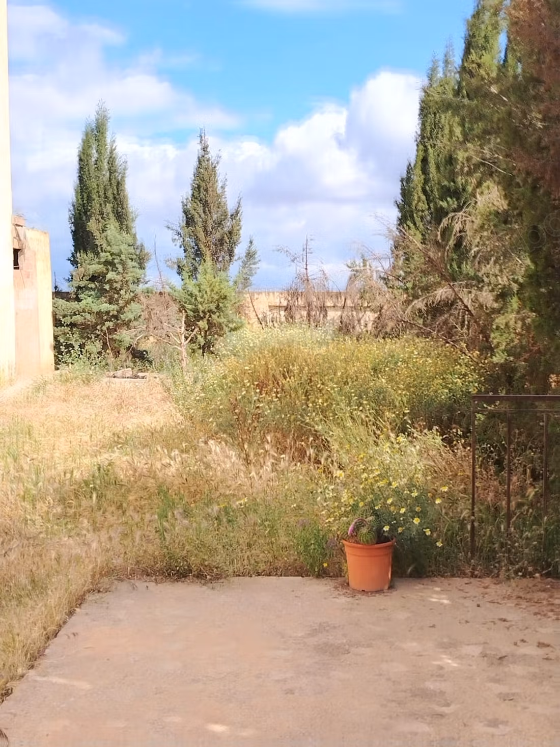 Villa a ventre