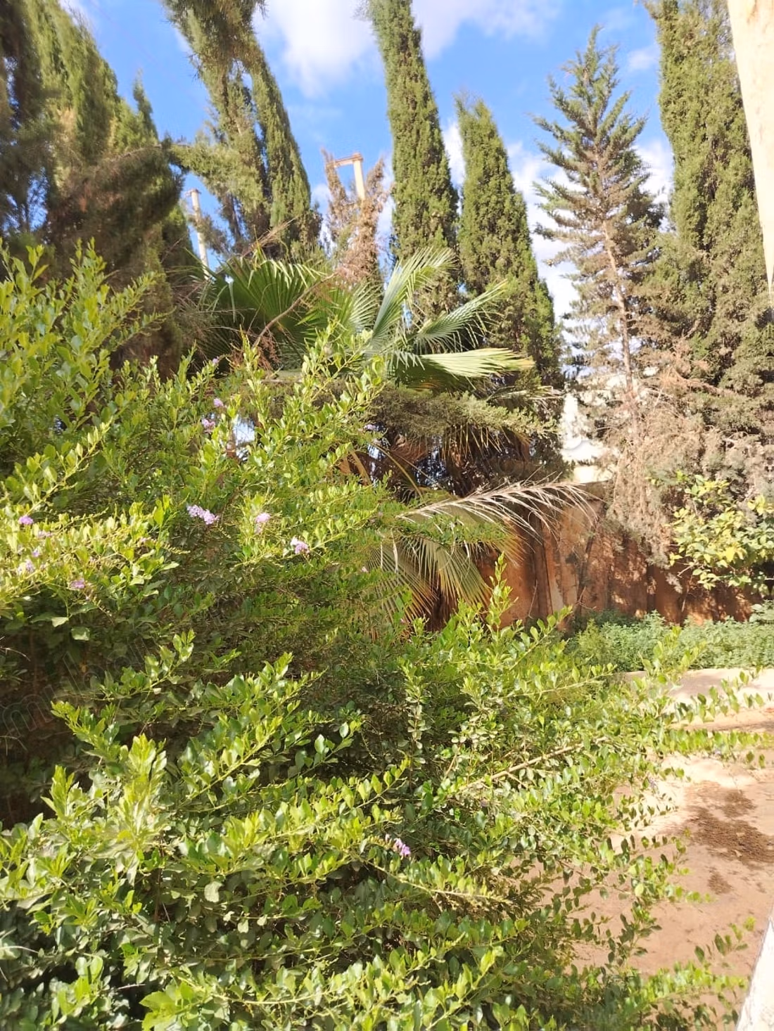 Villa a ventre