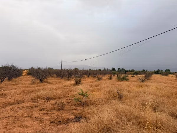 Terrain 2000 m² 20 min de Marrakech Vue Atlas