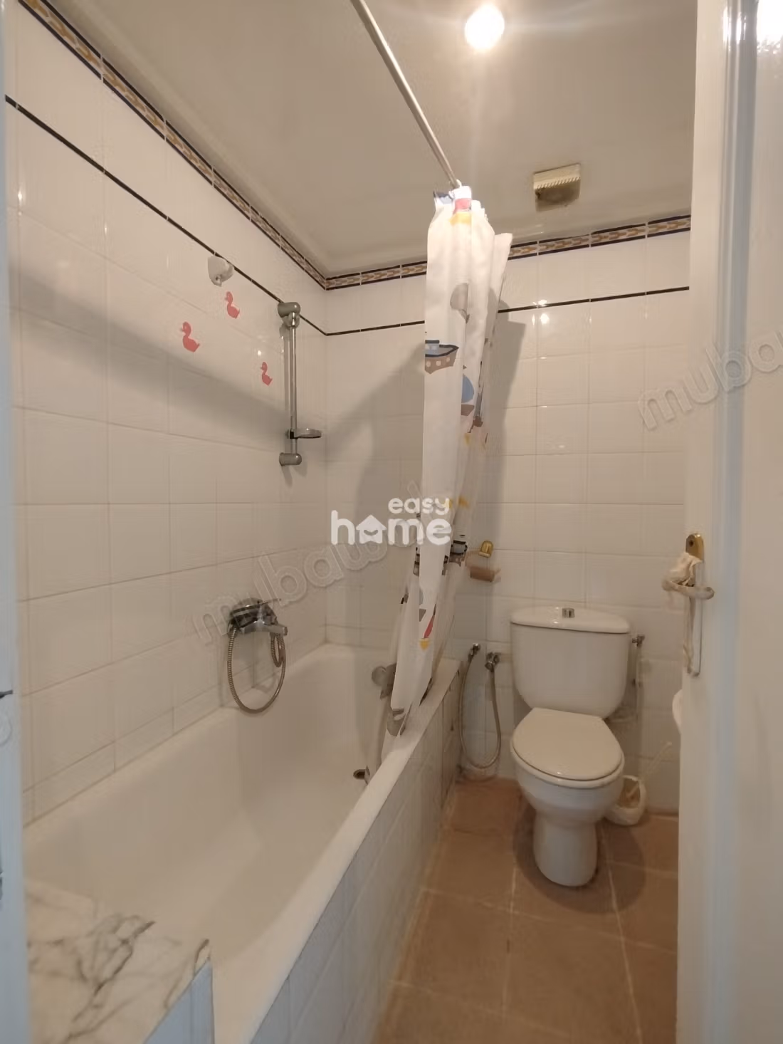S1 de 54m²