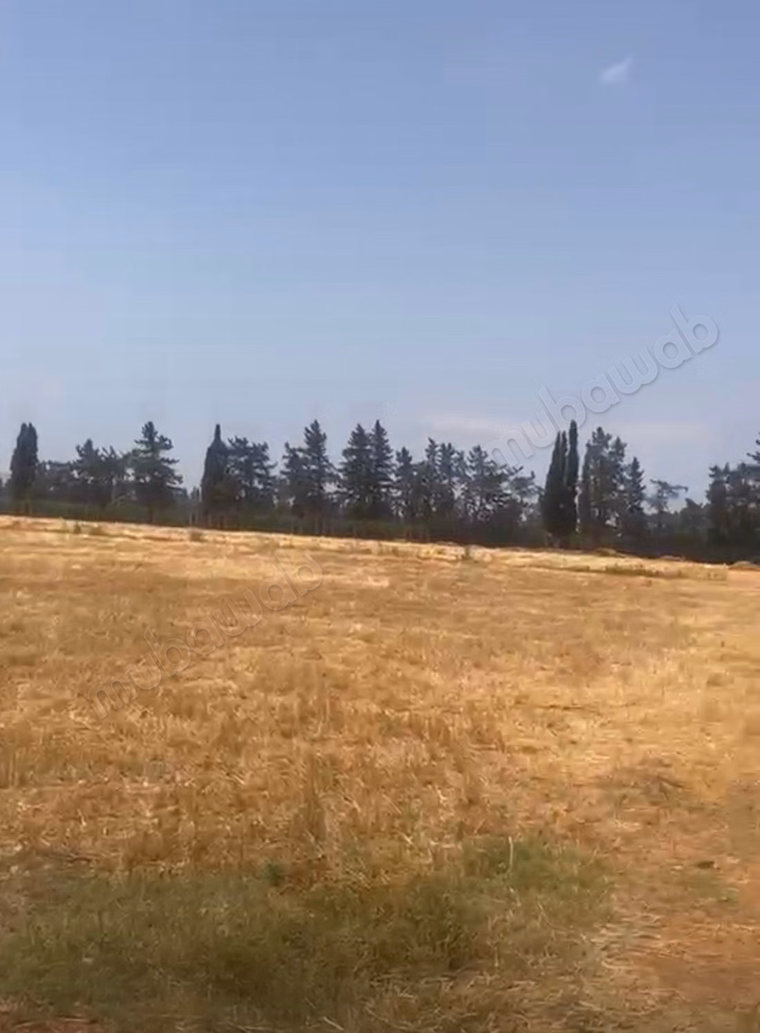 Azienda storica, culla della clementina