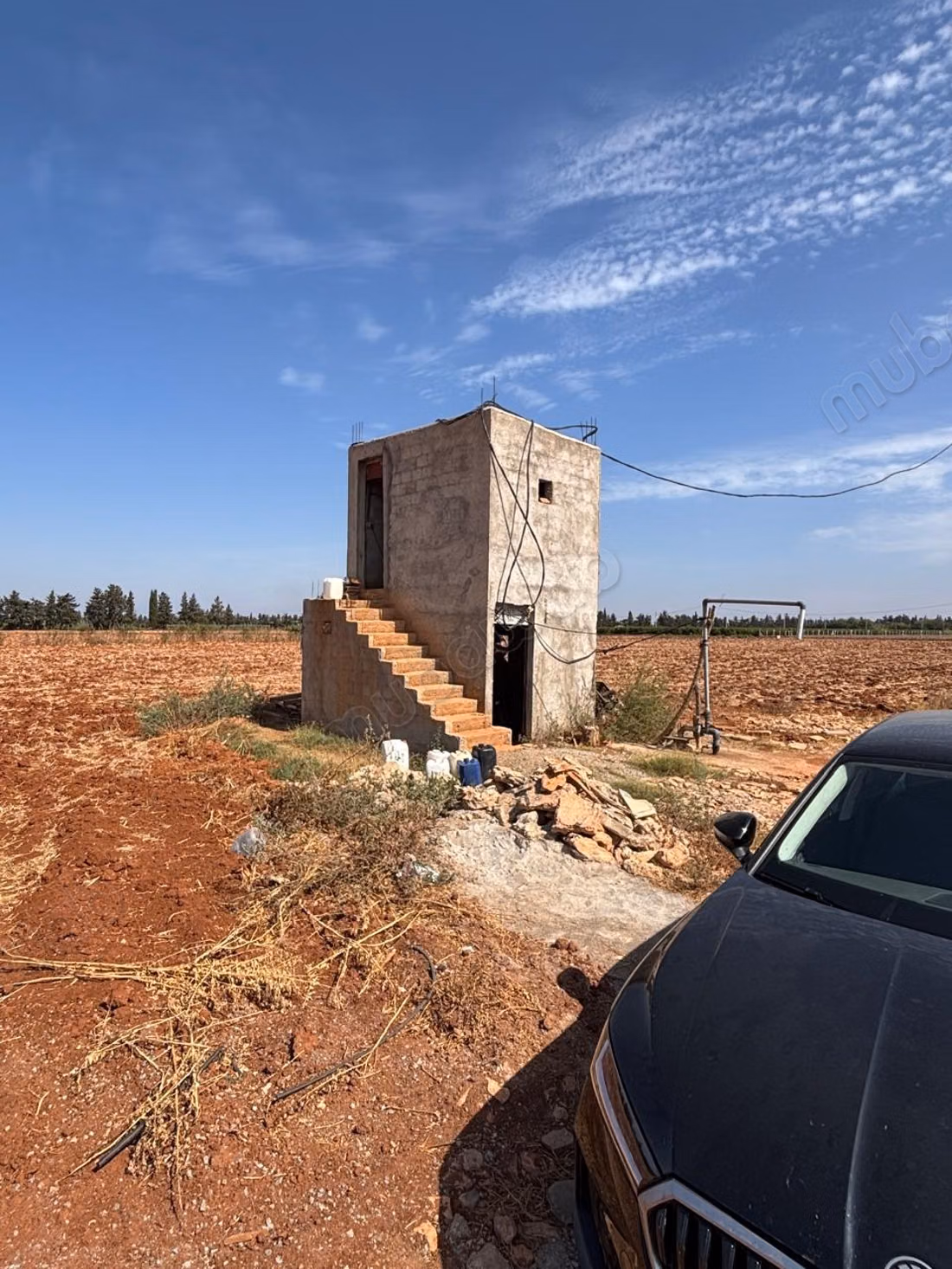 Azienda storica, culla della clementina