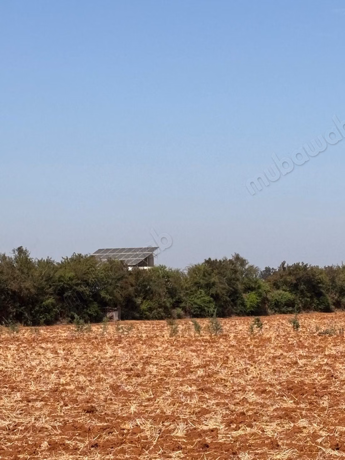 Azienda storica, culla della clementina