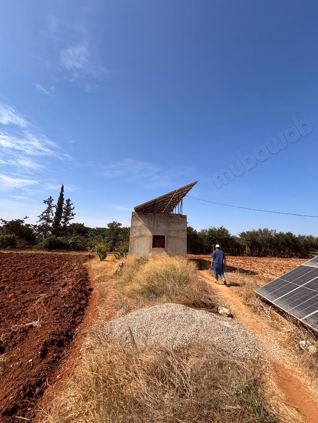 Azienda storica, culla della clementina
