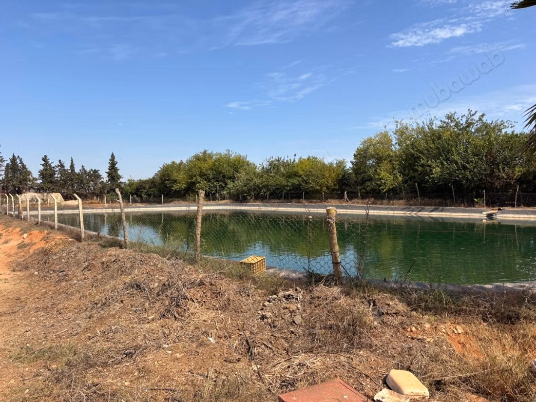 Azienda storica, culla della clementina
