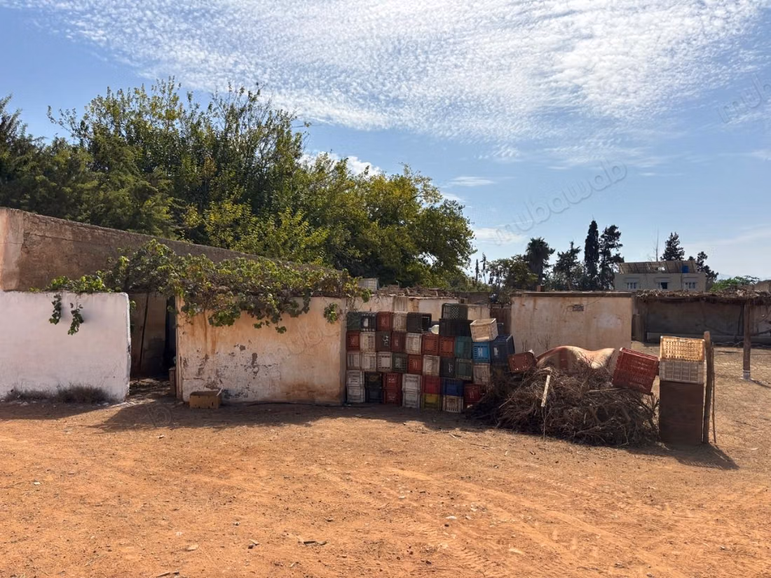 Azienda storica, culla della clementina