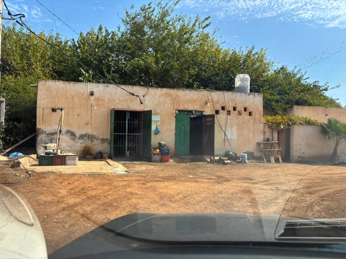 Azienda storica, culla della clementina