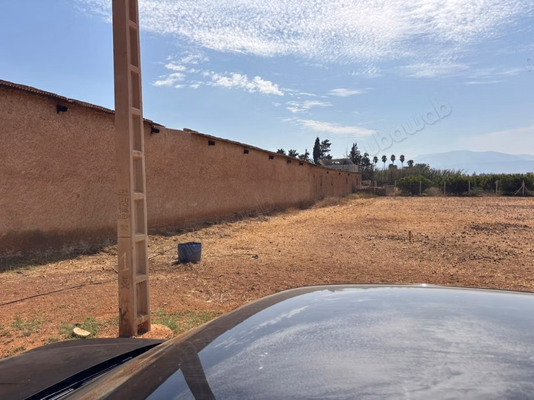 Azienda storica, culla della clementina