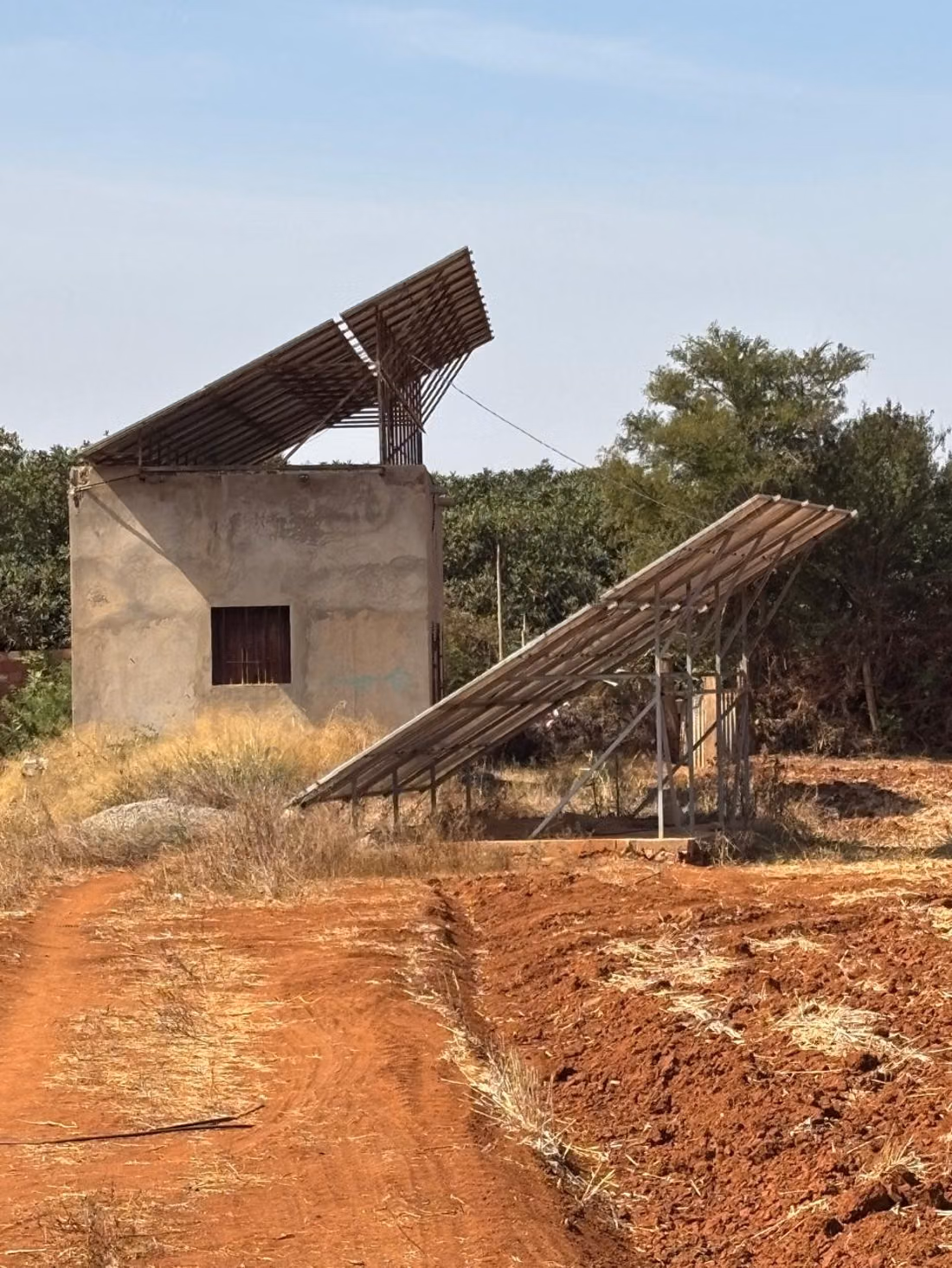Azienda storica, culla della clementina