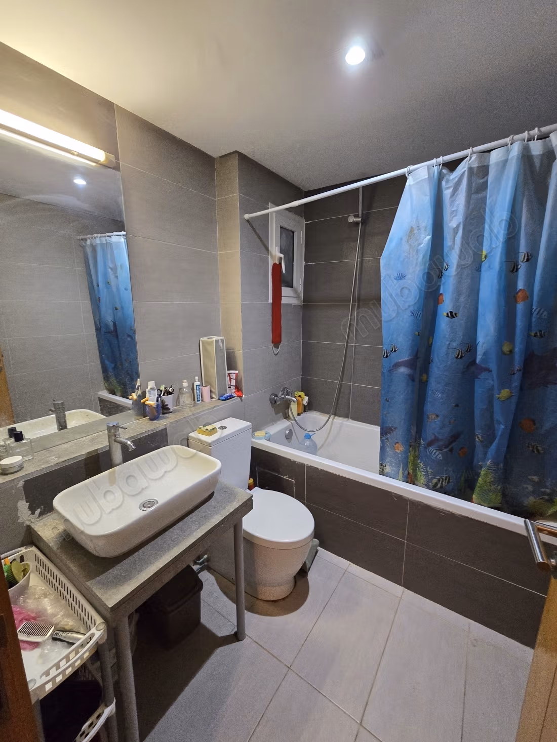 Appartement T3