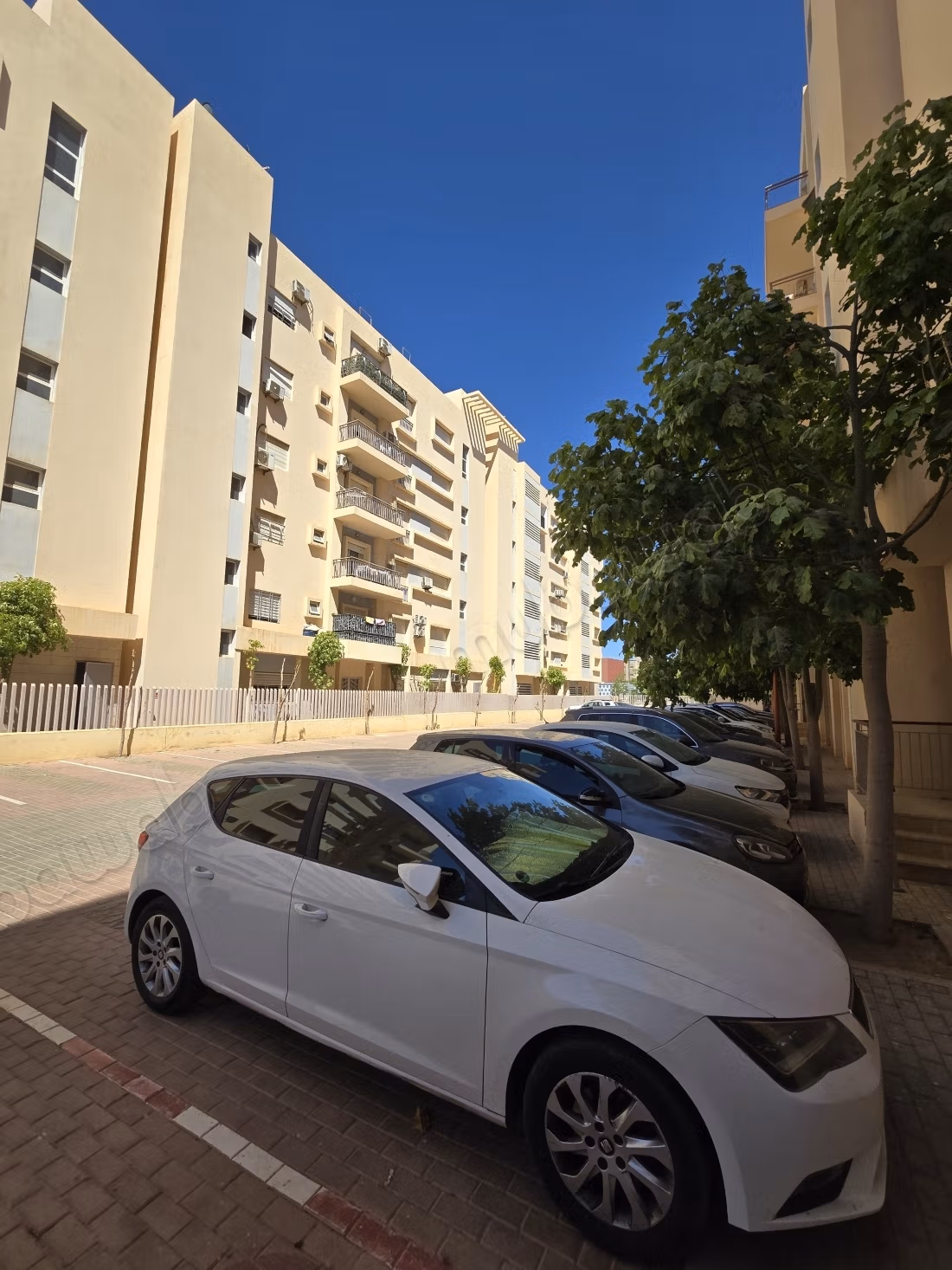 Appartement T3