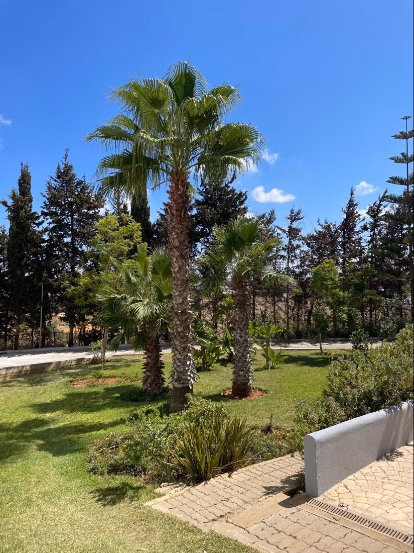 Apartement 120 m2 avec vue mer et piscine