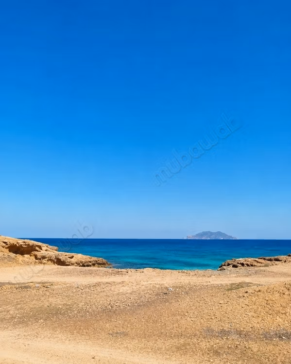 عرض محدود 5 هكتارات