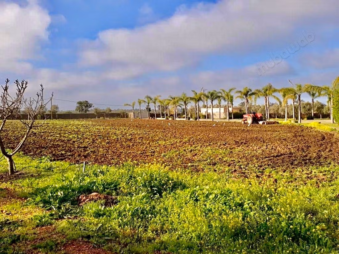 Granja moderna y villa privada en venta en Benslimane