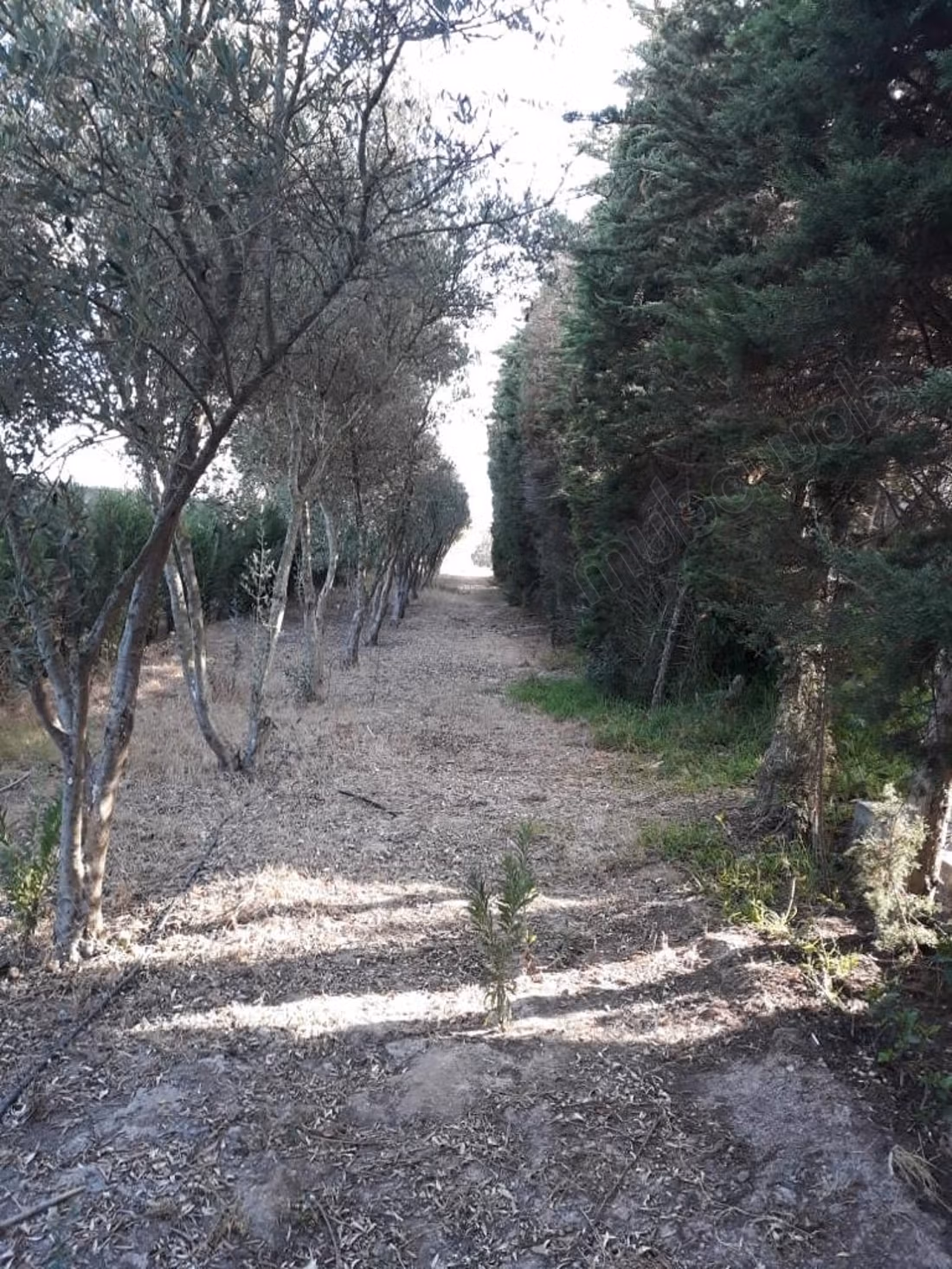 Granja moderna y villa privada en venta en Benslimane