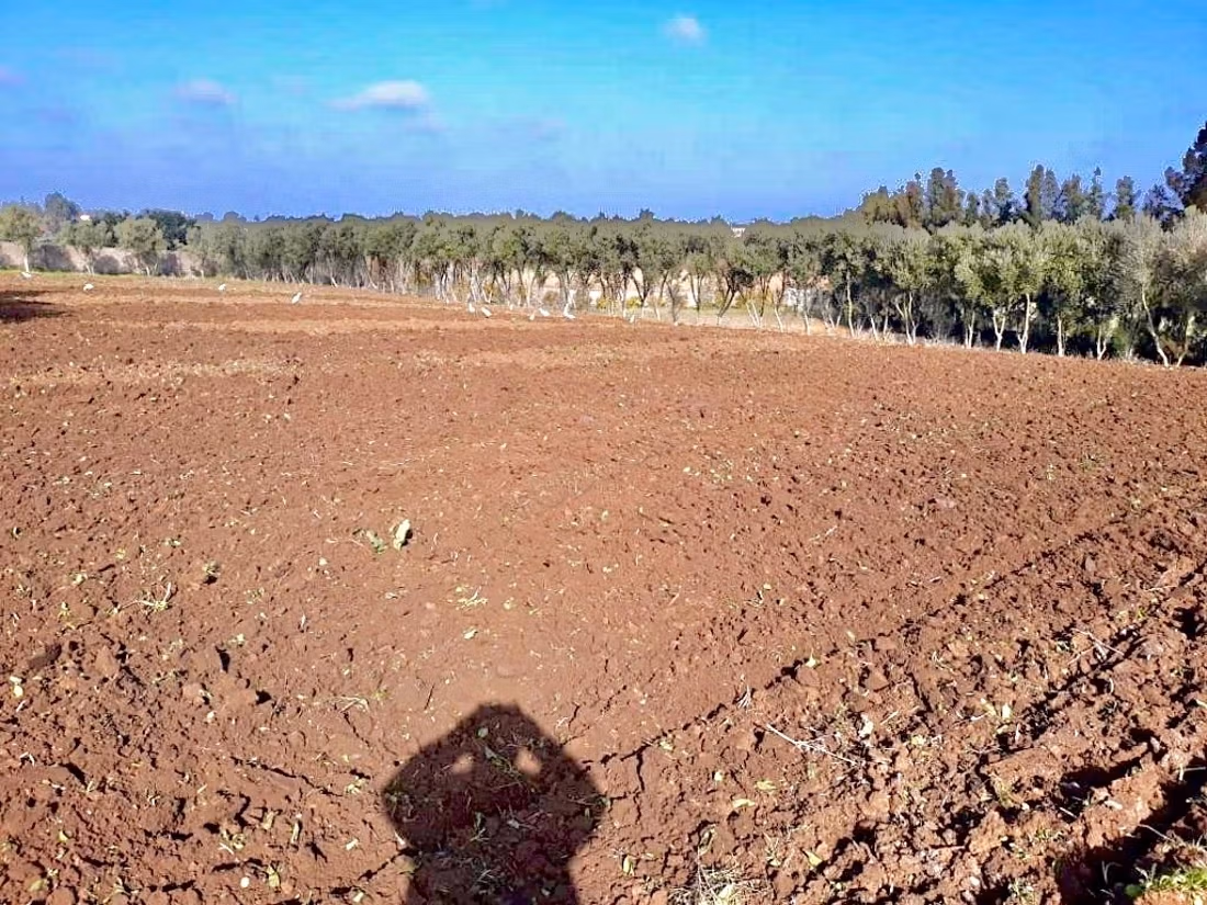 Granja moderna y villa privada en venta en Benslimane