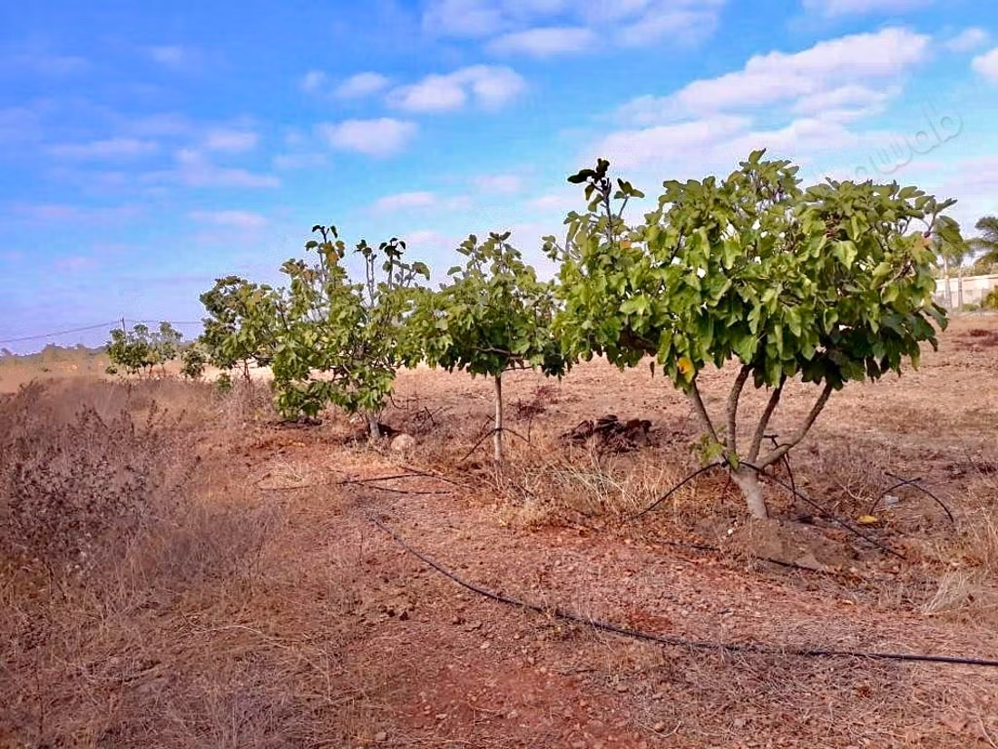 Granja moderna y villa privada en venta en Benslimane