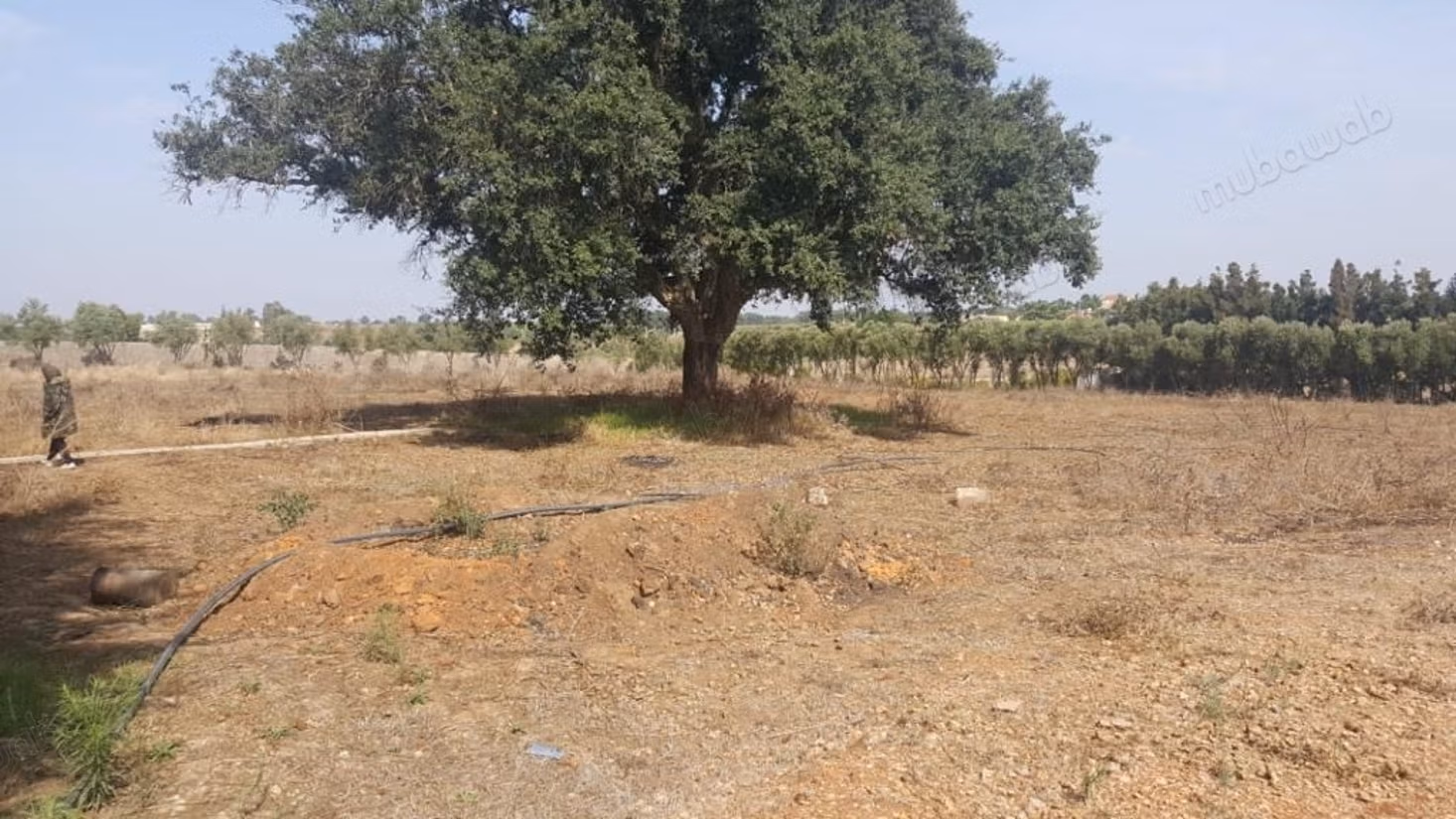 Granja moderna y villa privada en venta en Benslimane