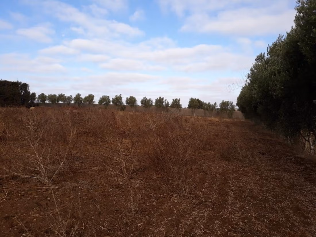 Granja moderna y villa privada en venta en Benslimane