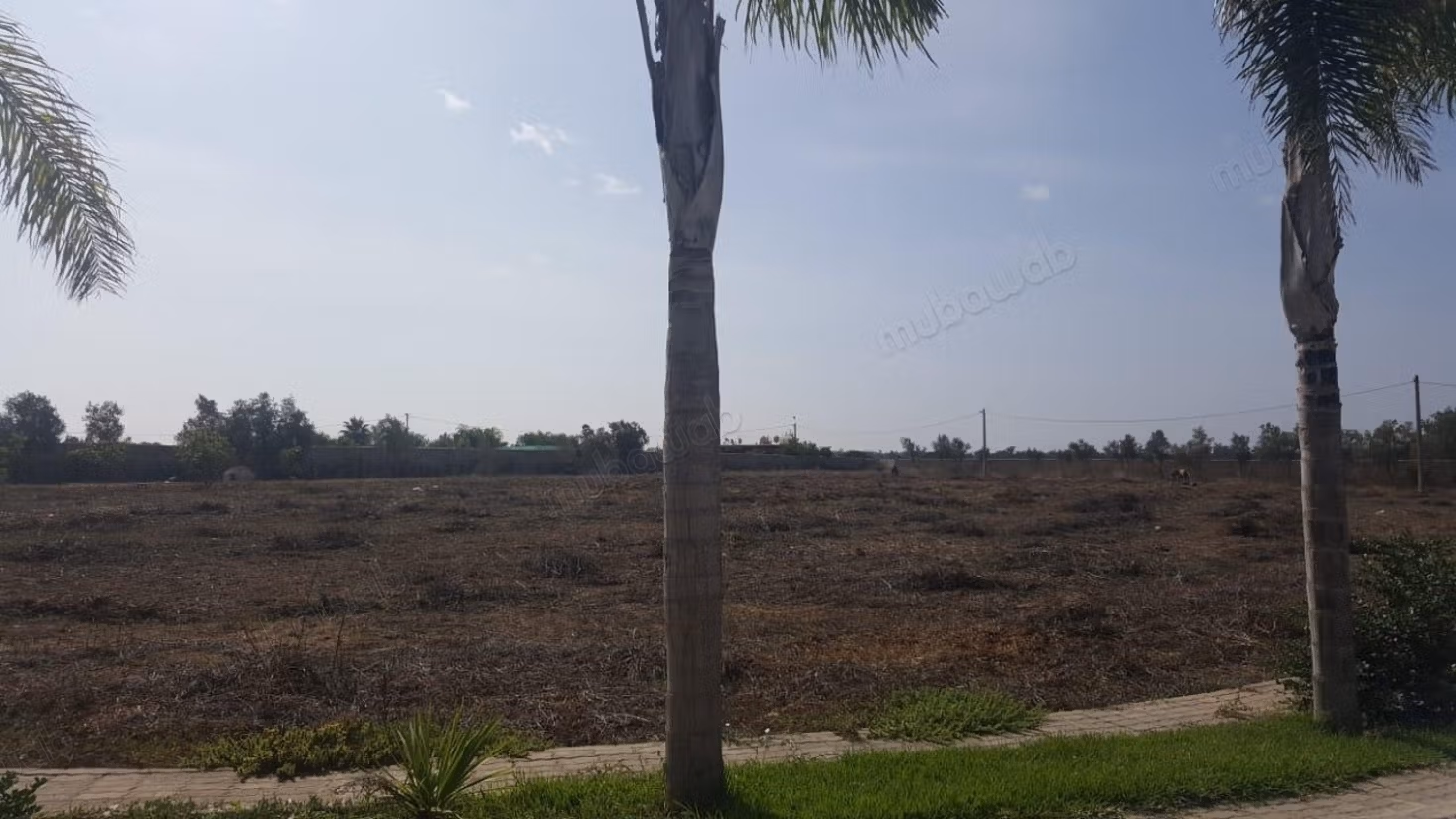 Granja moderna y villa privada en venta en Benslimane