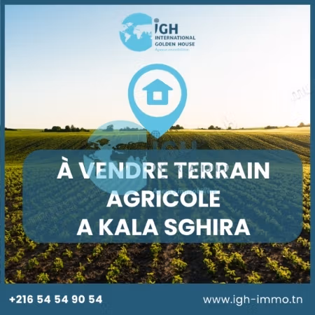 For sale land in Kalaa Essghera