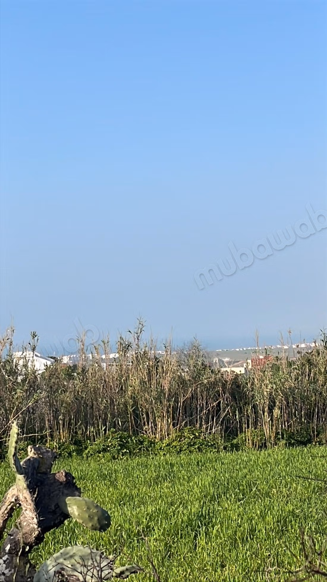 Terrain agricol fertile