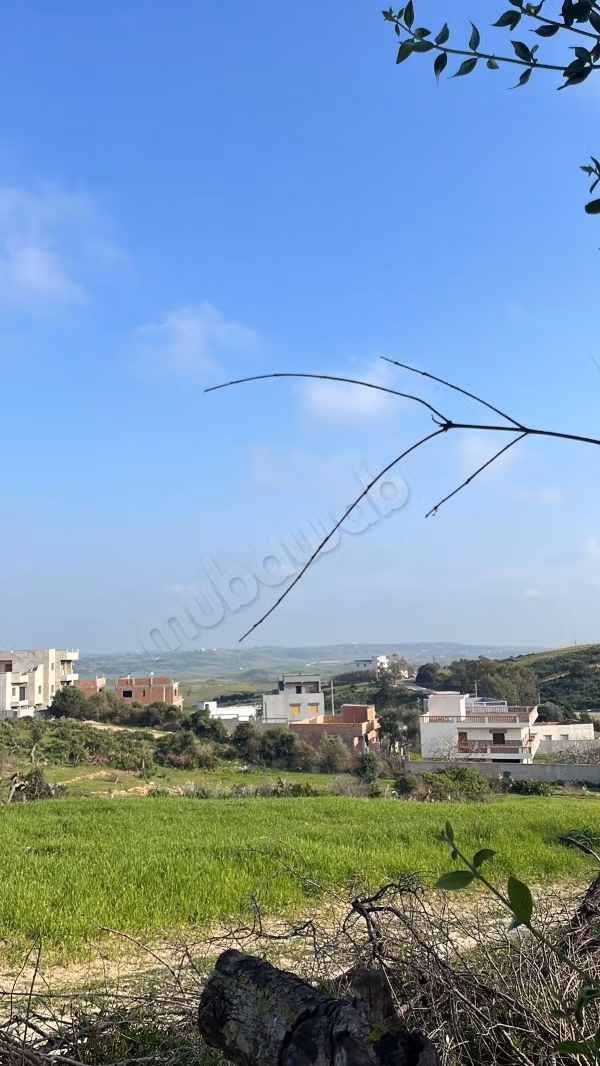 Terrain agricol fertile