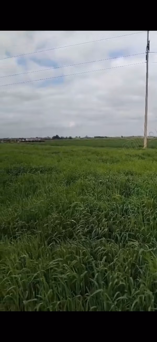 Opportunity to seize – farm for sale