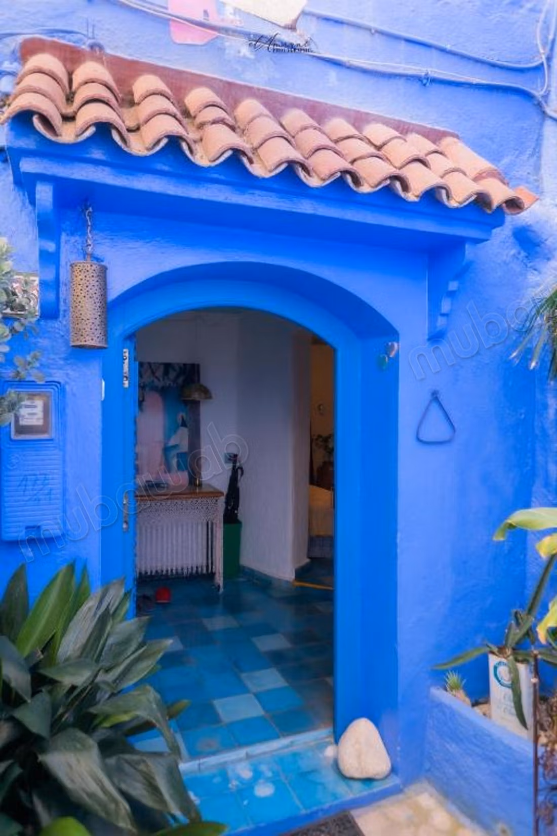 Profitable Guest House – Best Chefchaouen View