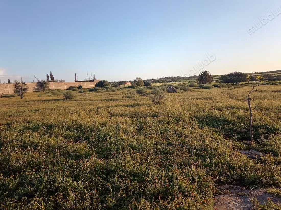 Plot 5.2 Ha 250m façade on Safi road